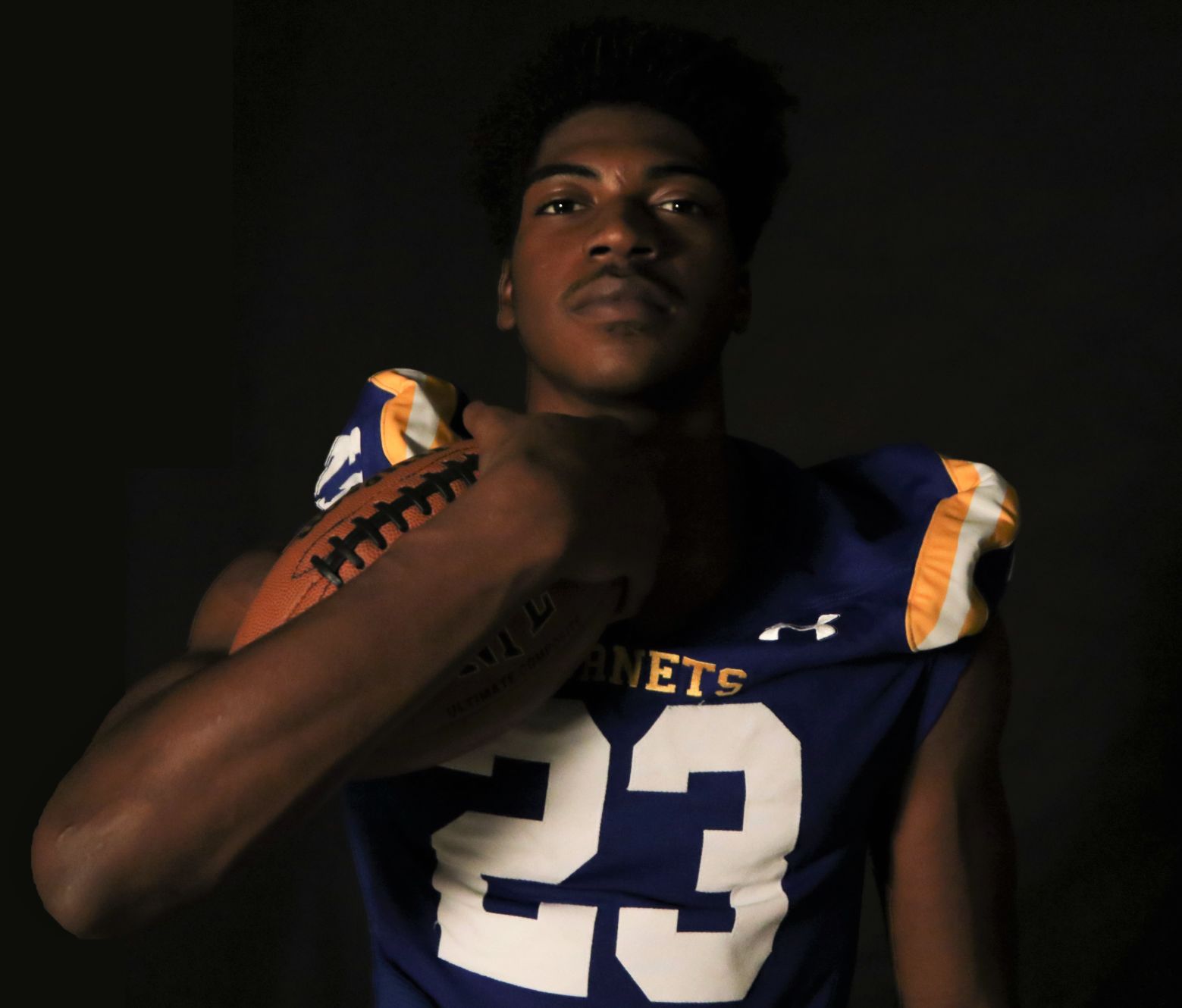 2019 All-Area Large School Defense